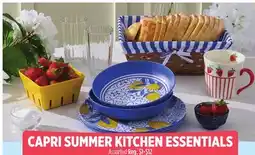 Dollar General CAPRI SUMMER KITCHEN ESSENTIALS offer