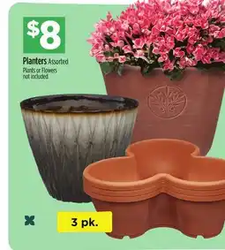Dollar General Planters offer
