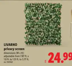 Lidl LIVARNO privacy screen offer