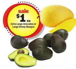 Meijer Extra Large Avocados or Large Honey Mangos offer