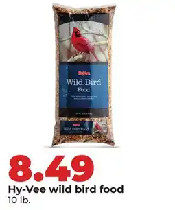 Hy-Vee Hy-Vee wild bird food offer