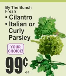 Almonte's Food Dynasty Marketplace By The Bunch Fresh Cilantro Italian or Curly Parsley offer