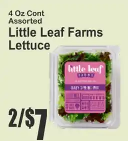 Almonte's Food Dynasty Marketplace 4 Oz Cont Assorted Little Leaf Farms Lettuce offer