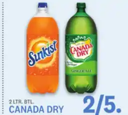 Kings Food Markets CANADA DRY offer
