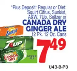 Bravo Supermarkets CANADA DRY GINGER ALE offer