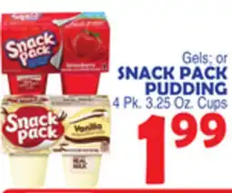 Bravo Supermarkets SNACK PACK PUDDING offer