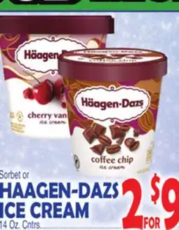 Bravo Supermarkets HAAGEN-DAZS ICE CREAM offer