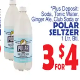 Bravo Supermarkets POLAR SELTZER offer