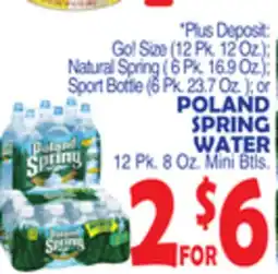 Bravo Supermarkets POLAND SPRING WATER 12 Pk. 8 Oz. Mini Btls offer