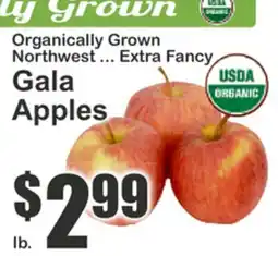 The Food Emporium Organically Grown Northwest ... Extra Fancy Gala Apples offer