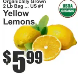 The Food Emporium Sicilia Organic Lemon or Lime Juice offer