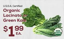 DeCicco & Sons Organic Lacinato or Green Kale offer