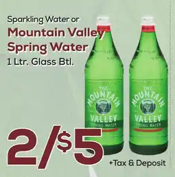 DeCicco & Sons Sparkling Water or Mountain Valley Spring Water offer