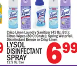 C Town LYSOL DISINFECTANT SPRAY 12.5 Oz. Can offer