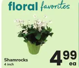 ACME Shamrocks offer