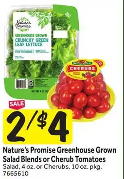Stop&Shop Nature's Promise Greenhouse Grown Salad Blends or Cherub Tomatoes offer
