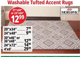 Ocean State Job Lot Washable Tufted Accent Rugs offer