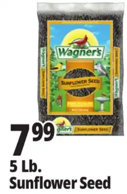Ocean State Job Lot Wagner's Black Oil Sunflower Seed Wild Bird Food 5 lbs offer