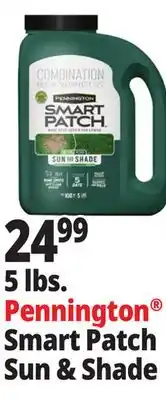 Ocean State Job Lot Pennington Smart Patch Grass Seed Fertilizer Mulch 5 lbs offer