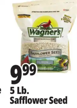 Ocean State Job Lot Wagner's Safflower Seed Deluxe Wild Bird Food offer
