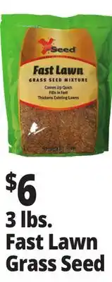 Ocean State Job Lot 3 lbs. Fast Lawn Grass Seed offer