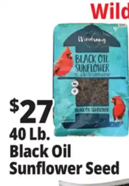 Ocean State Job Lot Black Oil Sunflower Seeds 40 lbs offer