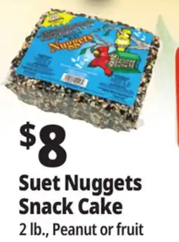 Ocean State Job Lot C&S Songbird Snak with Peanut Suet Nuggets 32 oz offer