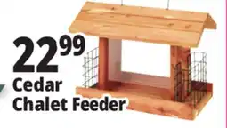 Ocean State Job Lot Cedar Chalet Feeder offer