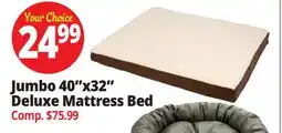 Ocean State Job Lot Jumbo 40x32 Deluxe Mattress Bed offer