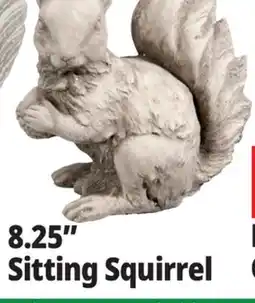 Ocean State Job Lot Squirrel Cement Statue Gray offer