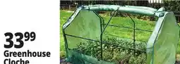 Ocean State Job Lot Greenhouse Cloche offer