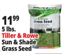 Ocean State Job Lot Tiller & Rowe Sun & Shade Grass Seed 5 lbs offer