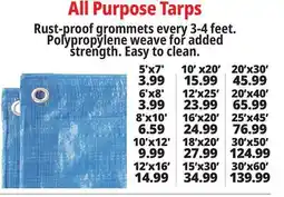 Ocean State Job Lot All Purpose Tarps offer