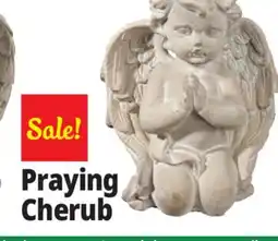Ocean State Job Lot Praying Cherubim Boy Cement Statue Gray offer