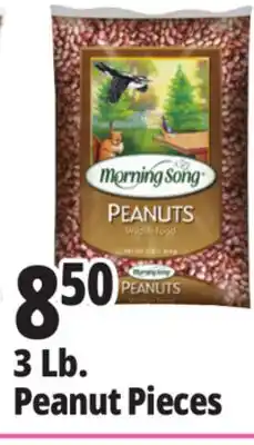Ocean State Job Lot Audubon Peanut Pieces Bird Seed 3lb offer