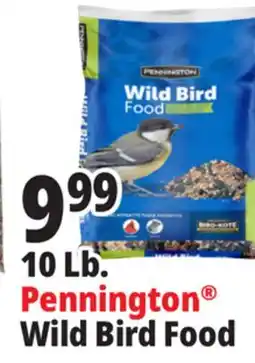 Ocean State Job Lot Pennington Wild Bird Food 10 lbs offer