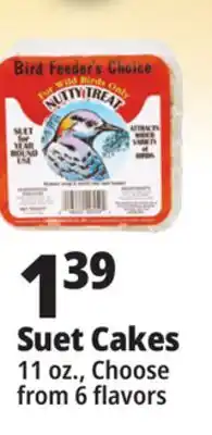 Ocean State Job Lot Bird Feeder's Choice High Energy Suet 11 oz offer