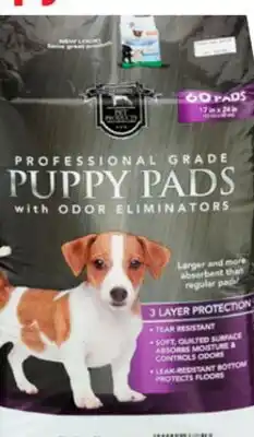 Ocean State Job Lot Huntington Pet Products Professional Grade 17x24 Puppy Pads with Odor Eliminators 60 Count offer