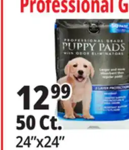 Ocean State Job Lot 24x24 Puppy Pads with Odor Eliminators 50 Count offer