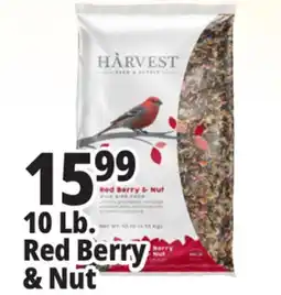 Ocean State Job Lot Harvest Seed & Supply Red Berry & Nut Wild Bird Food 10 lb offer