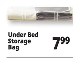 Ocean State Job Lot Nest Accents Clear PEVA Underbed Storage Bag 42 offer