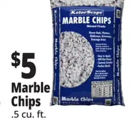 Ocean State Job Lot Marble Chips offer