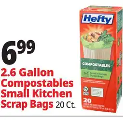 Ocean State Job Lot Hefty Compostable Small Kitchen Scrap Bags 20 Count offer