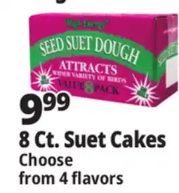 Ocean State Job Lot Seed & Suet High Energy Suet Value Pack 8 Count offer