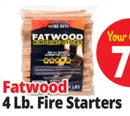 Ocean State Job Lot Fatwood Firestarter offer