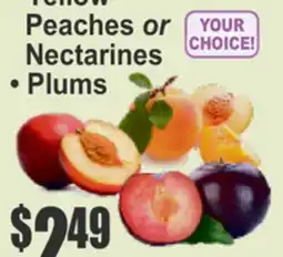 Food Universe Yellow Peaches or Nectarines • Plums offer