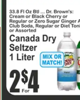 Food Universe Dr. Brown's Zero Sugar Ginger Ale, Soda, Regular or Diet Tonic offer