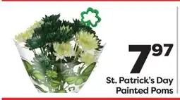 Weis Markets St. Patrick's Day Painted Poms offer