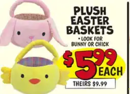 Ollie's PLUSH EASTER BASKETS offer