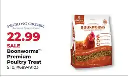 Runnings Pecking Order Boonworms Premium Poultry Treat offer